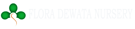 Flora Dewata Nursery